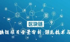: 中国区块链项目全景分析